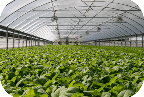 Planting & Tree Installation - 1-min