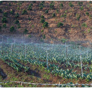 Smart Irrigation Systems - 2-min