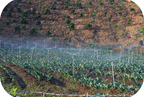 Smart Irrigation Systems - 2-min